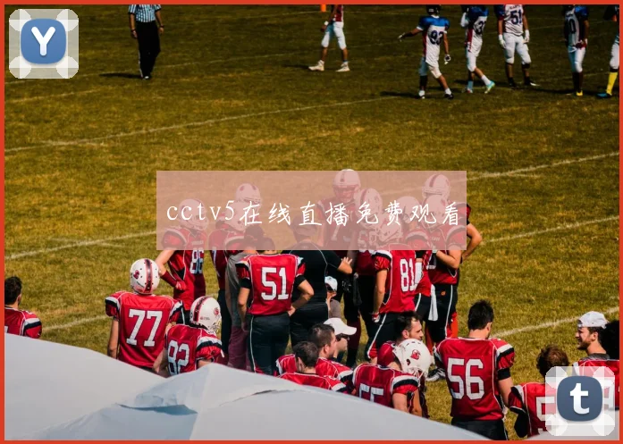 cctv5在线直播免费观看