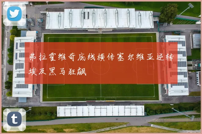 弗拉霍维奇底线横传塞尔维亚逆转埃及黑马狂飙