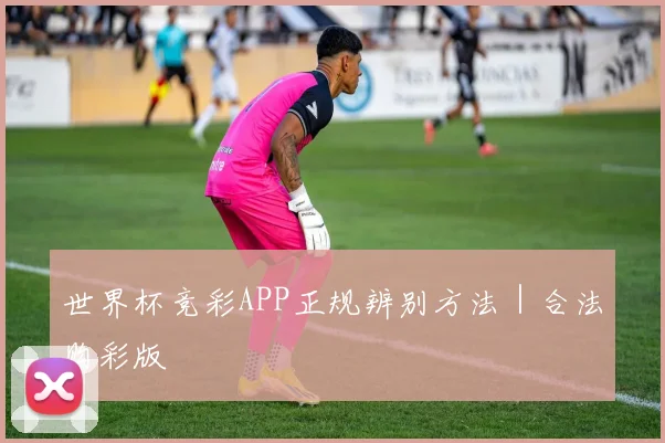 世界杯竞彩APP正规辨别方法｜合法购彩版