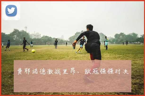 费耶诺德激战里昂，欧冠强强对决