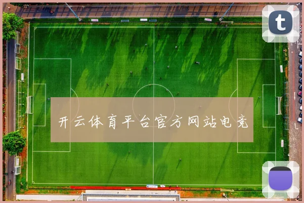 开云体育平台官方网站电竞