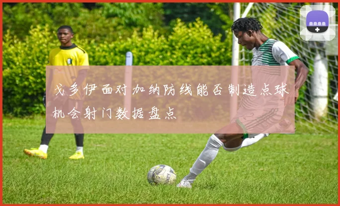 戈多伊面对加纳防线能否制造点球机会射门数据盘点
