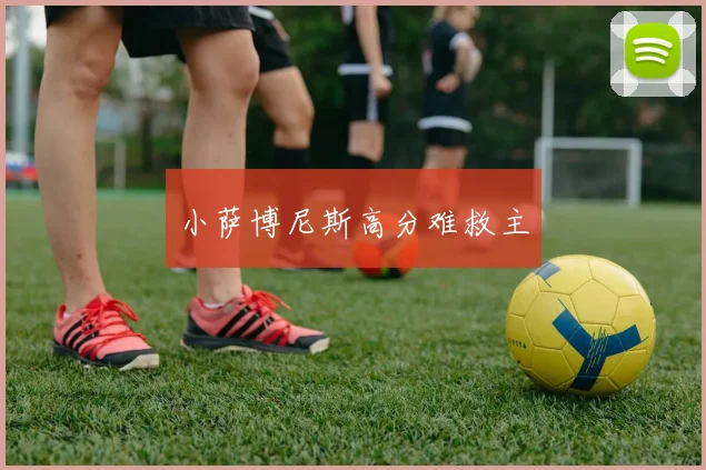 小萨博尼斯高分难救主