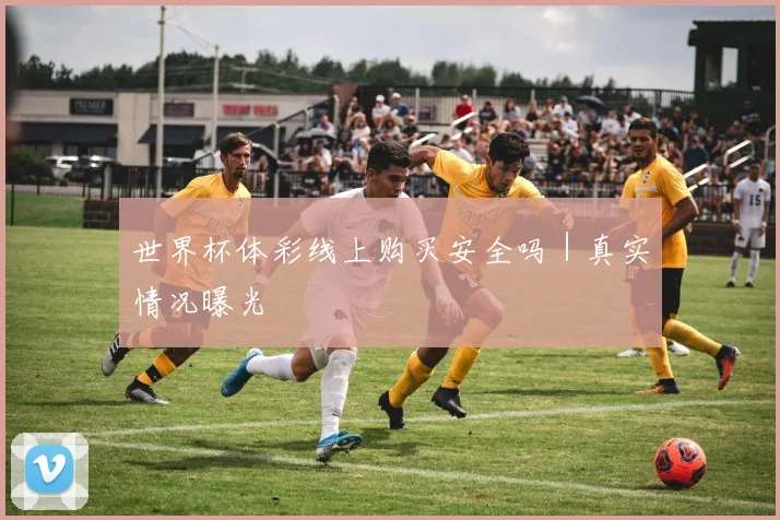 世界杯体彩线上购买安全吗|真实情况曝光
