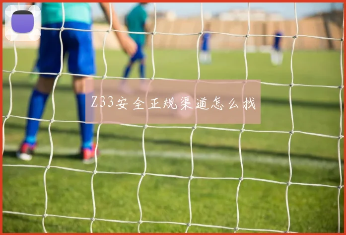 Z33安全正规渠道怎么找