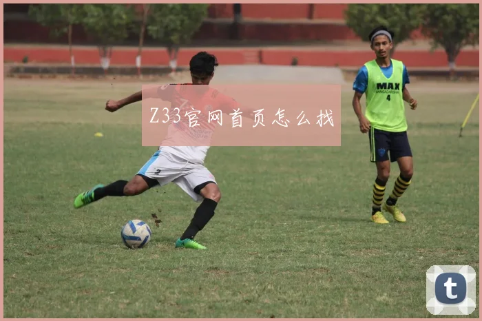 Z33官网首页怎么找
