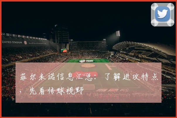 菲尔米诺信息汇总：了解进攻特点，先看传球视野