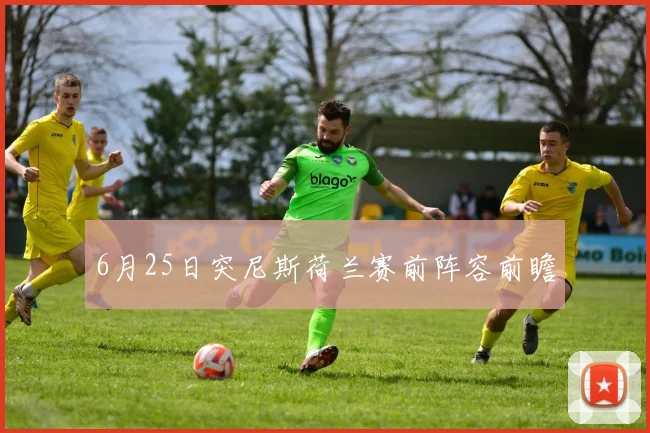 6月25日突尼斯荷兰赛前阵容前瞻
